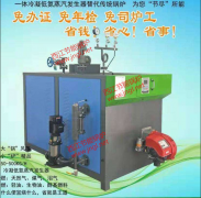 燃油燃气蒸汽发生器（免检）